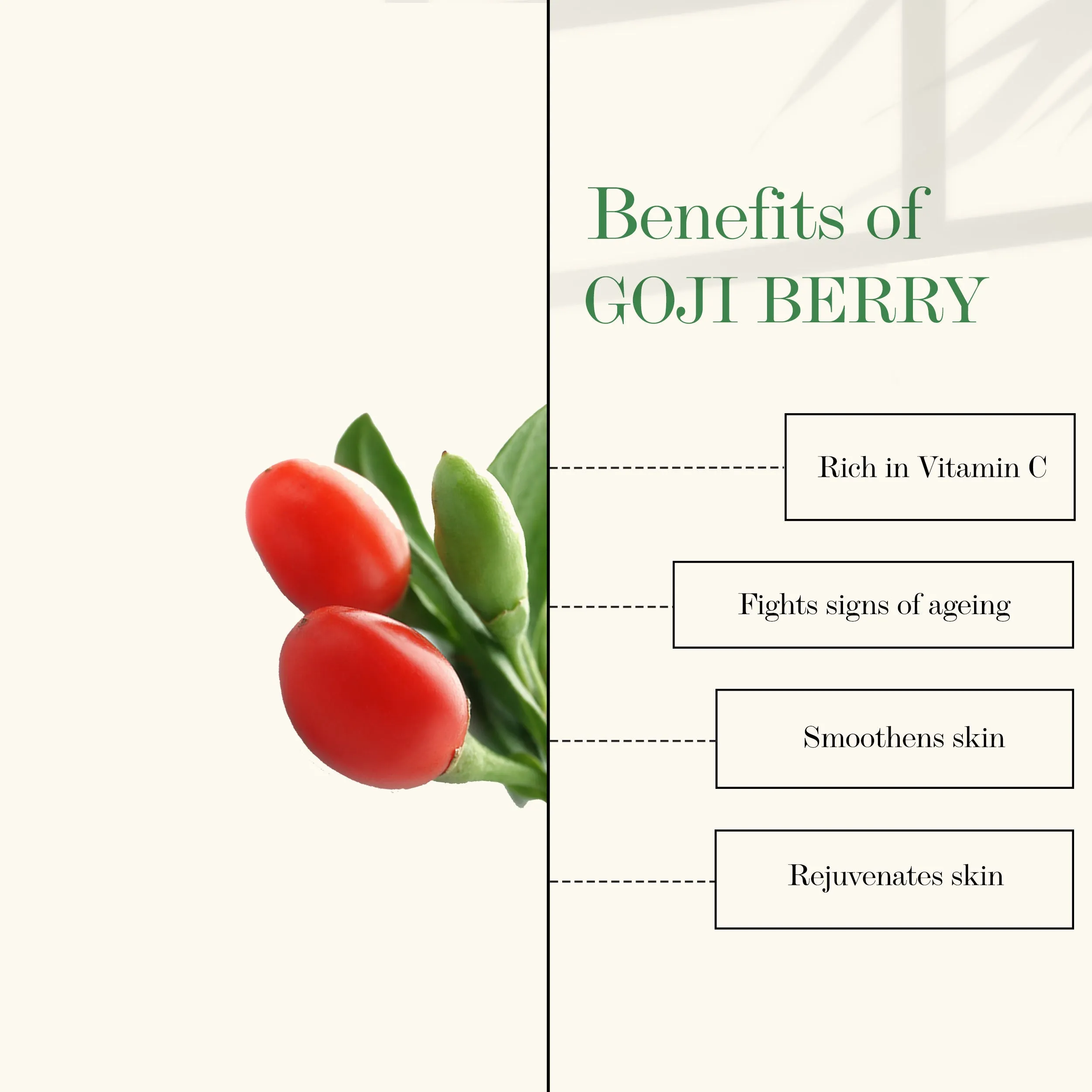 Good Vibes Vitamin C & Goji Berry Depigmentation & Wrinkle Balancing Face Serum | Lightening | With Aloe Vera | No Parabens, No Sulphates (10 ml)
