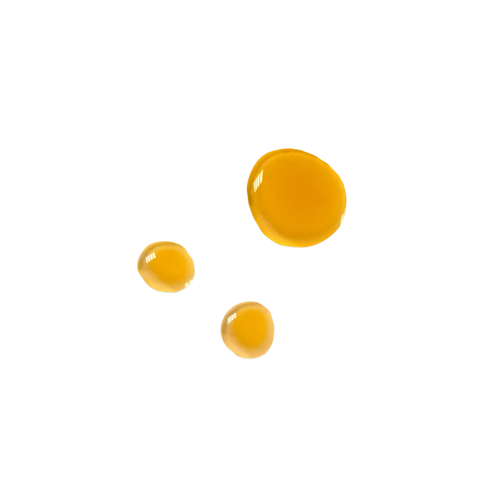 Luminous Vitamin Oil - TWELVE MONTH SUPPLY