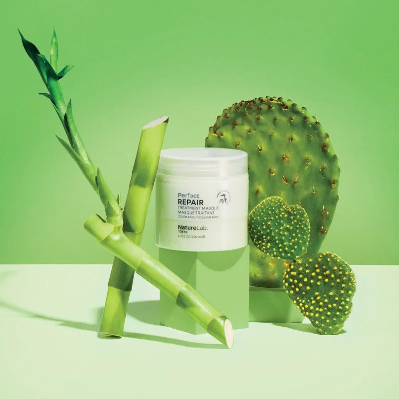 Perfect Repair Treatment Masque