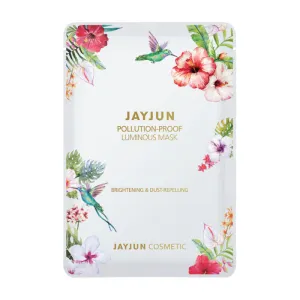 Pollution-Proof Luminous Mask