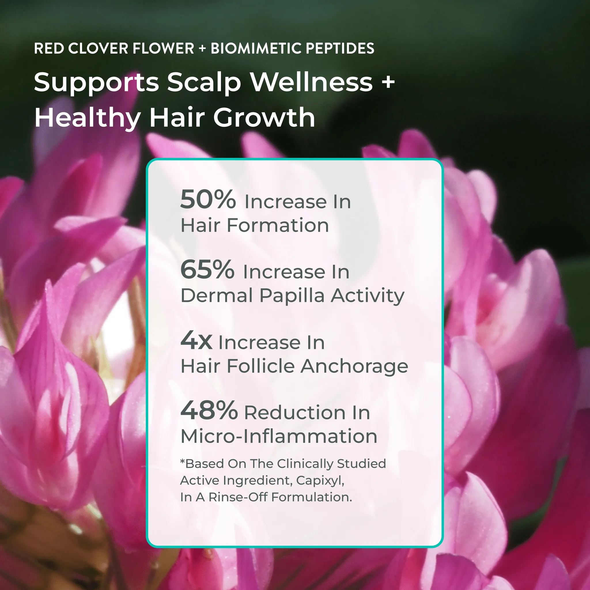 Pre-Order & Save: NEW! Better Roots Growth Support Super Trio